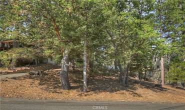 0 Auburn Drive, Lake Arrowhead, California 92352, ,Land,Buy,0 Auburn Drive,RW24201773