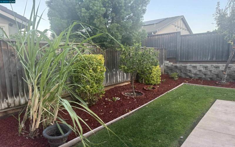 Low maintenance landscape