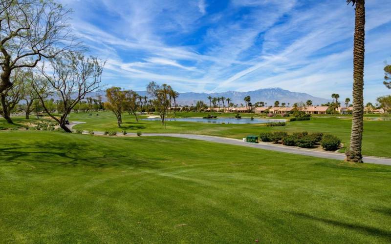 Sun City Palm Desert MLS 2-14