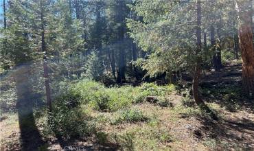 0 coutelenc, Magalia, California 95954, ,Land,Buy,0 coutelenc,PA24201943