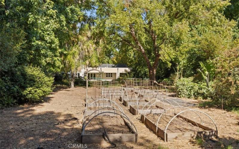 Irrigated Planter Boxes