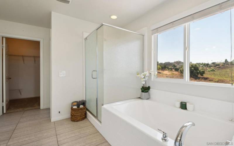 Relax in  the extra deep soaking tub! Views! Serenity with a Walk-in closet!