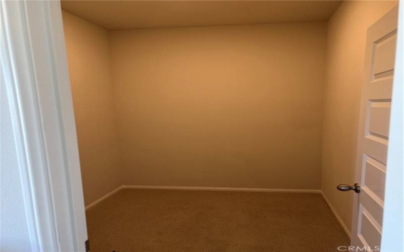 Downstairs bedroom walk-in closet