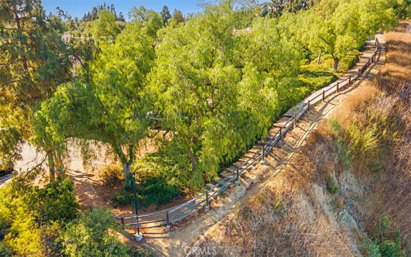 Walking/Hiking trail behind track.