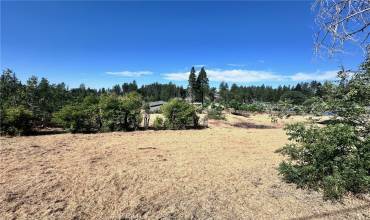 7109 Pentz Road, Paradise, California 95969, ,Land,Buy,7109 Pentz Road,SN24198552