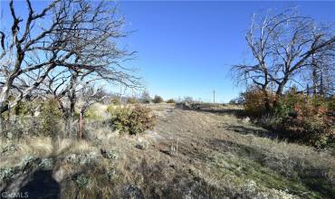 21 Cedar Tree Lane, Oroville, California 95966, ,Land,Buy,21 Cedar Tree Lane,OR23225106