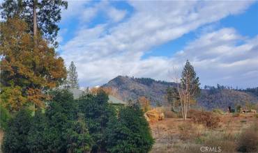 7289 Pentz Road, Paradise, California 95969, ,Land,Buy,7289 Pentz Road,SN23219232