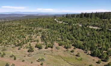 0 California Pines Blvd, Alturas, California 96101, ,Land,Buy,0 California Pines Blvd,230023126SD