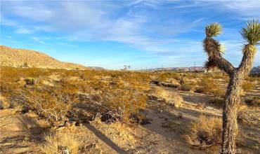 0 Wilson Terrace, Joshua Tree, California 92252, ,Land,Buy,0 Wilson Terrace,JT23220710