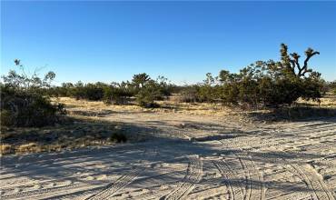 253 Vac/Vic Avenue V/253 Ste, Black Butte, California 93591, ,Land,Buy,253 Vac/Vic Avenue V/253 Ste,OC23214141