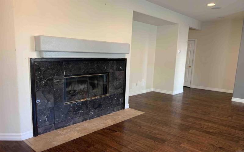 Fireplace in Family Room