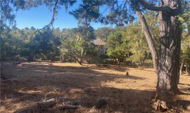 0 Alban Place, Cambria, California 93428, ,Land,Buy,0 Alban Place,SC23200431