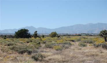 0 Baldy Mesa, Phelan, California 92371, ,Land,Buy,0 Baldy Mesa,HD23195278