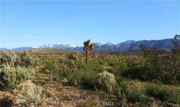 106 Vac/Cor Avenue V8 Pav /106th, Pearblossom, California 93553, ,Land,Buy,106 Vac/Cor Avenue V8 Pav /106th,SR23196953