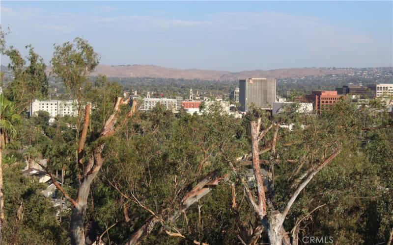 State Building & Mission Inn