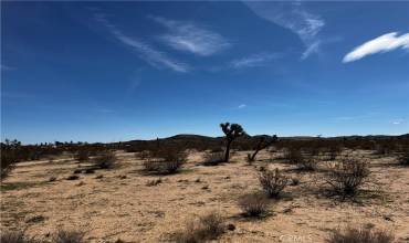 175 Rainbow Road, Landers, California 92285, ,Land,Buy,175 Rainbow Road,JT23041897