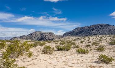 5900 Kickapoo Trail, Landers, California 92285, ,Land,Buy,5900 Kickapoo Trail,JT23024055