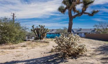 6329 Goleta Avenue, Yucca Valley, California 92284, ,Land,Buy,6329 Goleta Avenue,JT23024066