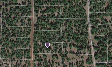 0 Lot 13 Block 19, Alturas, California 96101, ,Land,Buy,0 Lot 13 Block 19,CV22254000