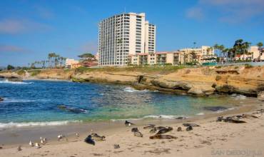 939 Coast LB, La Jolla, California 92037, ,1 BathroomBathrooms,Residential Lease,Rent,939 Coast LB,220024021SD