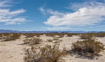 1300 Mt Shasta, Joshua Tree, California 92252, ,Land,Buy,1300 Mt Shasta,JT22047744