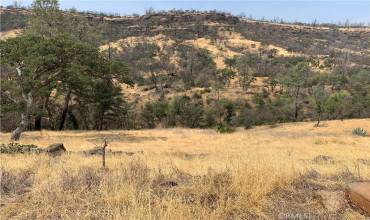 3923 Dry Creek Road, Butte Valley, California 95965, ,Land,Buy,3923 Dry Creek Road,SN21259139