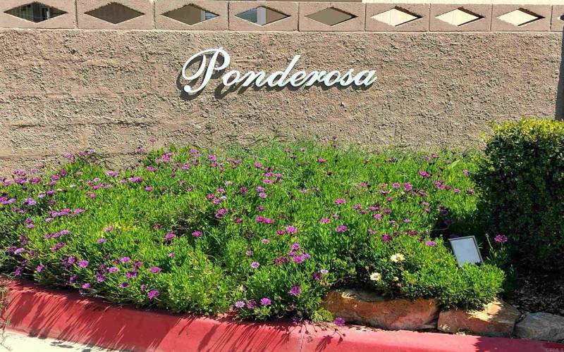 Ponderosa all ages neighborhood - great location