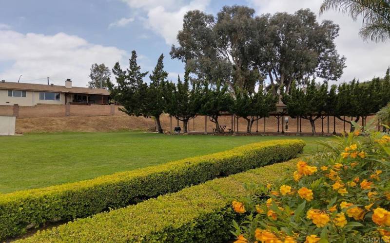 Picnic area with grass