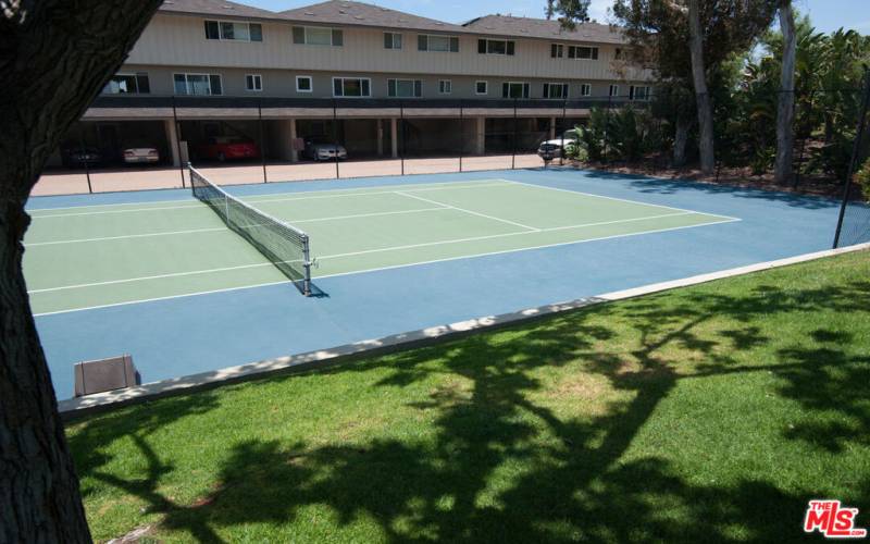 tennis/pickleball court