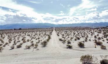 69933 Valle Vista, 29 Palms, California 92277, ,Land,Buy,69933 Valle Vista,JT24202576