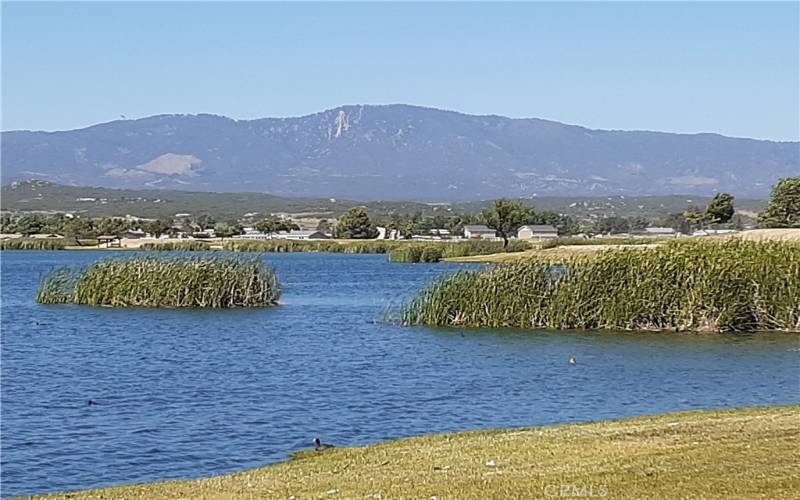 HOA Amenities Lake Views