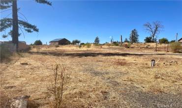 5273 S Libby Road, Paradise, California 95969, ,Land,Buy,5273 S Libby Road,SN24202683