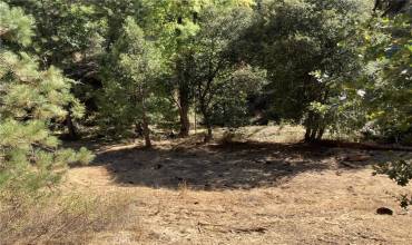 8112 Anderson Valley Road, Coulterville, California 95311, ,Land,Buy,8112 Anderson Valley Road,TR24200877