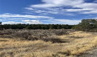 0 Cayote Drive, Alturas, California 96101, ,Land,Buy,0 Cayote Drive,FR24202330