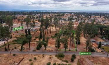 976 Thomasson Lane, Paradise, California 95969, ,Land,Buy,976 Thomasson Lane,SN24203126