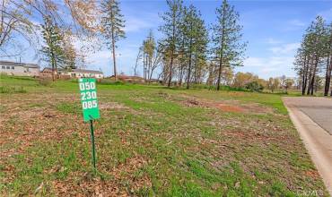 0 Summerwood Court, Paradise, California 95969, ,Land,Buy,0 Summerwood Court,PA24203668