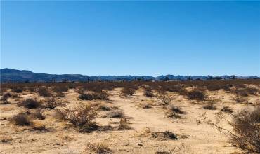 1 Todd Lane, 29 Palms, California 92277, ,Land,Buy,1 Todd Lane,JT24203953