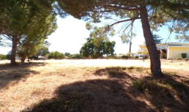 10369 Pebble Beach Way, Kelseyville, California 95451, ,Land,Buy,10369 Pebble Beach Way,LC24204202