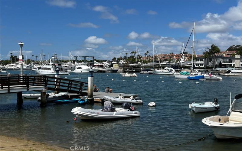 Sapphire public dock is just a few houses down!