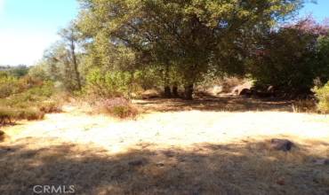 16755 Foxglen Road, Hidden Valley Lake, California 95467, ,Land,Buy,16755 Foxglen Road,LC24204586