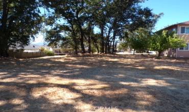 19419 Mountain Meadow S, Hidden Valley Lake, California 95467, ,Land,Buy,19419 Mountain Meadow S,LC24204632