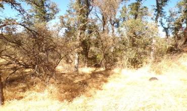 15656 34th Avenue, Clearlake, California 95422, ,Land,Buy,15656 34th Avenue,LC24204690