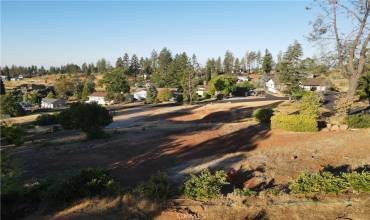 Many beautiful neighborhood views with surviving trees!