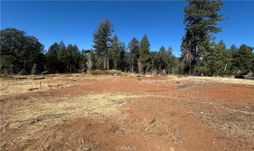 14035 Drexel Drive, Magalia, California 95954, ,Land,Buy,14035 Drexel Drive,SN24204741