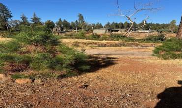 1579 Wagstaff Road, Paradise, California 95969, ,Land,Buy,1579 Wagstaff Road,OC24205496