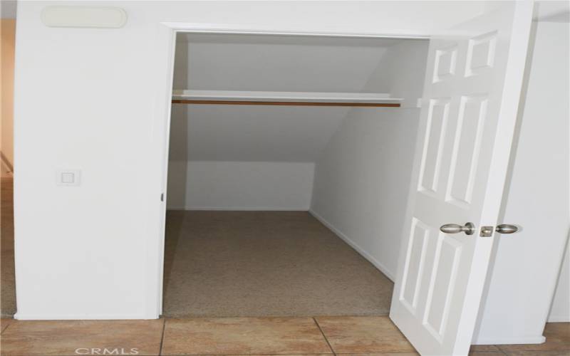 Guest closet with storage