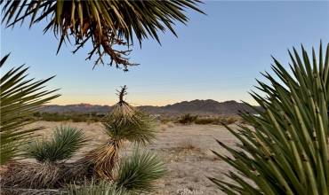 5858 Neptune Road, Joshua Tree, California 92252, ,Land,Buy,5858 Neptune Road,JT24206151