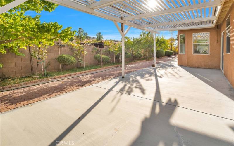 Grape vines beyond the patio. Pines in the outer yard are intentionally set to be viewed from the house and patios.