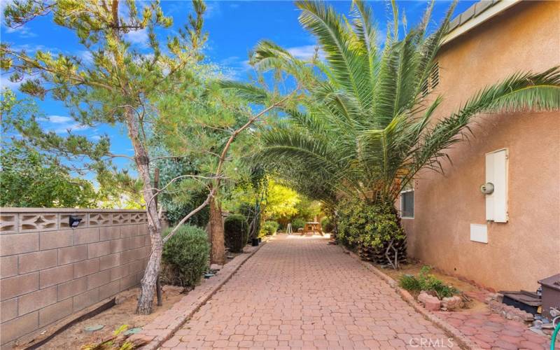 Secret garden type area. This space is always shaded under a tunnel of mature palms.