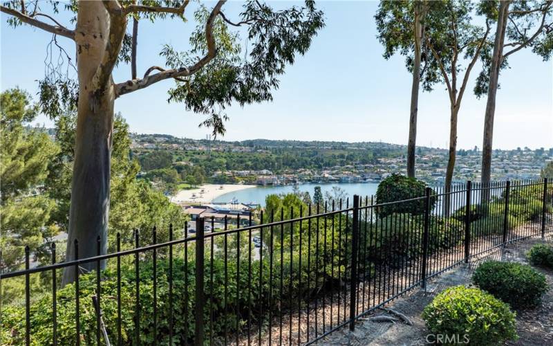 Backyard/patio view